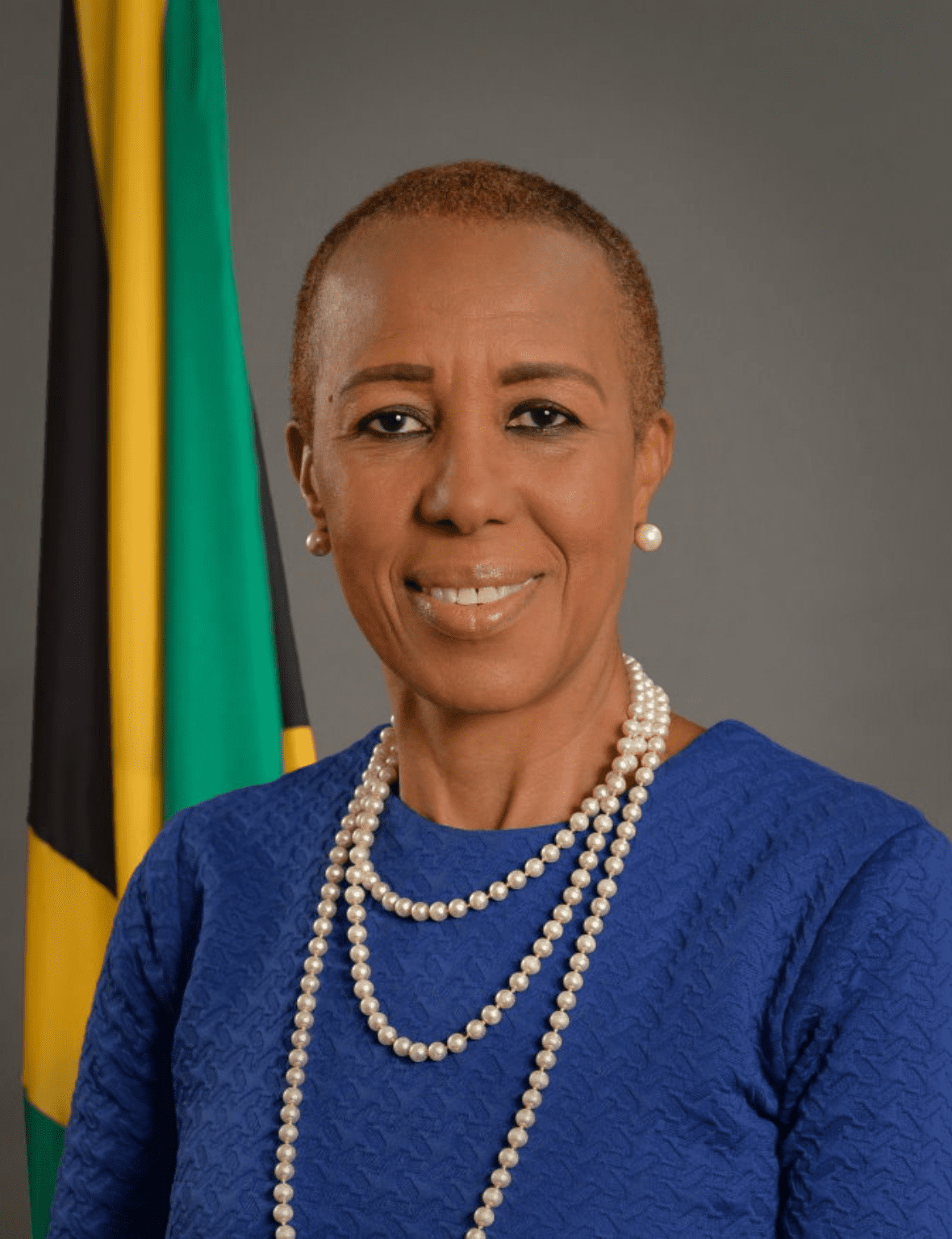 House of Representative - Fayval Williams