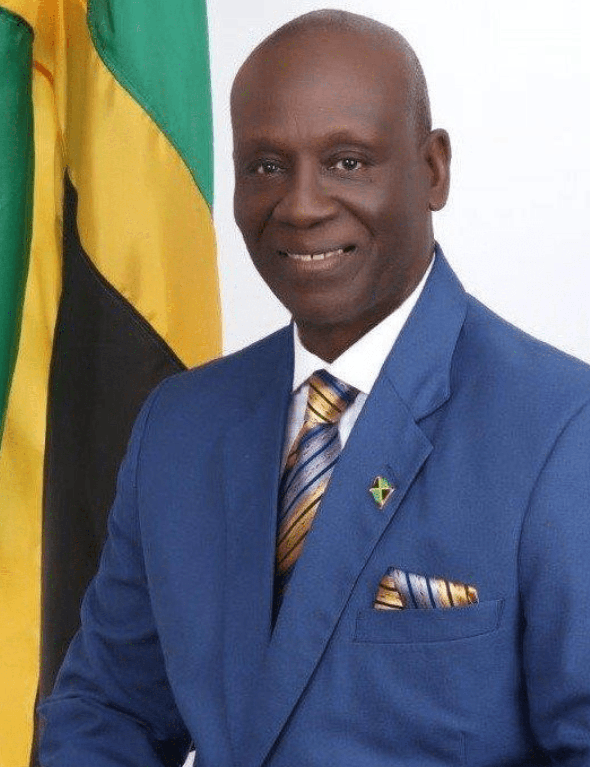House of Representative - Desmond McKenzie