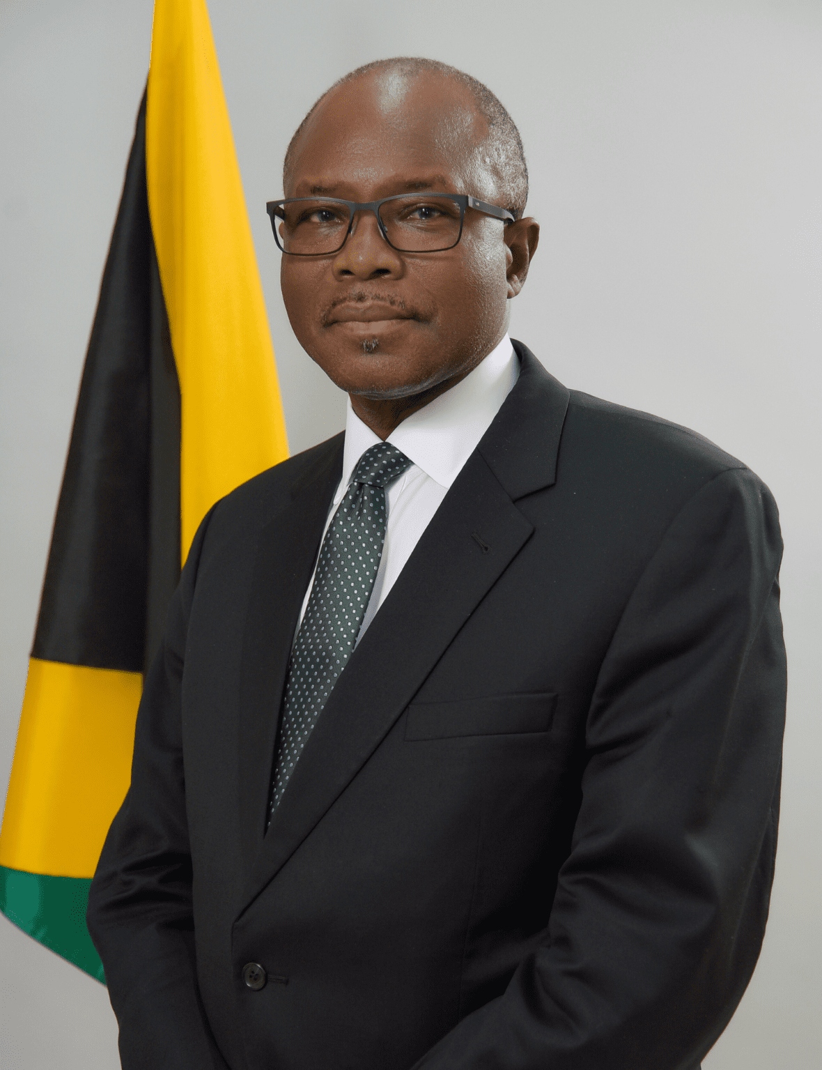 House of Representative - Everald Warmington